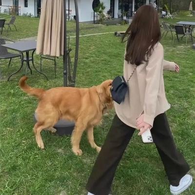 自杀突击队